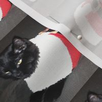 Luna the Christmas Cat