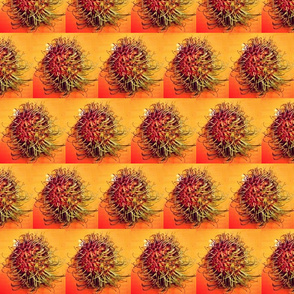 Rambutan