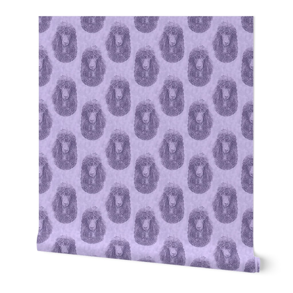 Irish Water Spaniel faces - purple