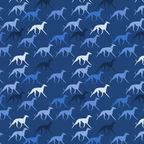 Sighthounds blue