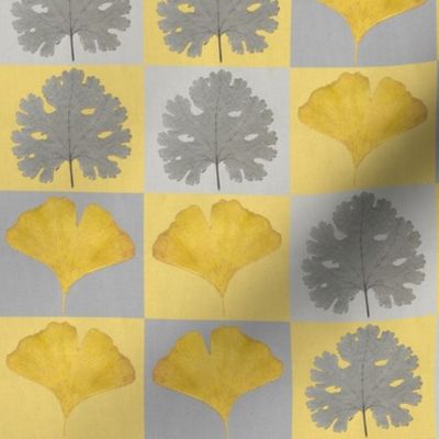 Gingko Check small