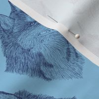 Siberian Husky head sketch - blue