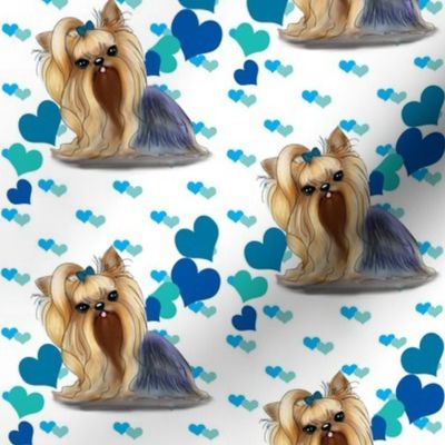 Yorkie Blue hearts