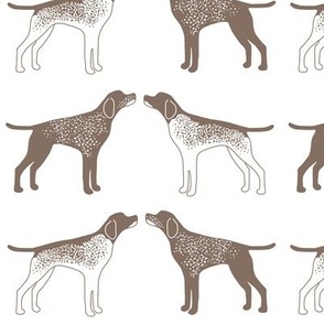 German Shorthaired Pointers