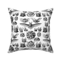 Ernst Haeckel Chiroptera Bats Fabric