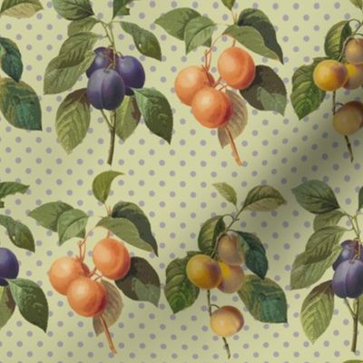 Redoute fruit, plums, abricot