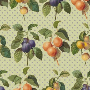 Redoute fruit, plums, abricot