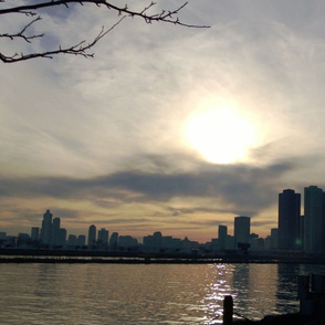 Chicago skyline Sunset branches