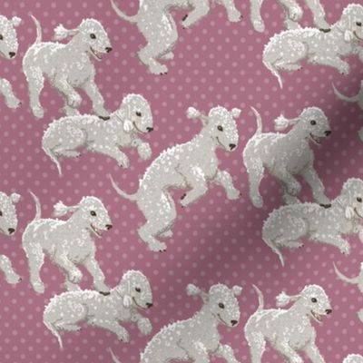  Bedlington Terriers Fabric