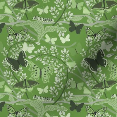 Butterfly_Pattern_green