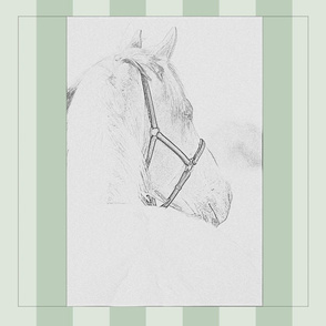 Horse with halter green stripes pillow square