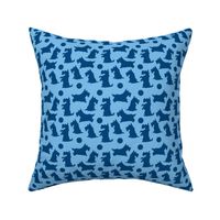 scotties1-Blue on blue