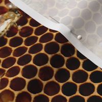 Realistic Bee Hive Fabric Honeybees