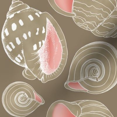 Sketchy Seashells - Blushing Taupe