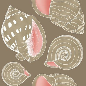 Sketchy Seashells - Blushing Taupe