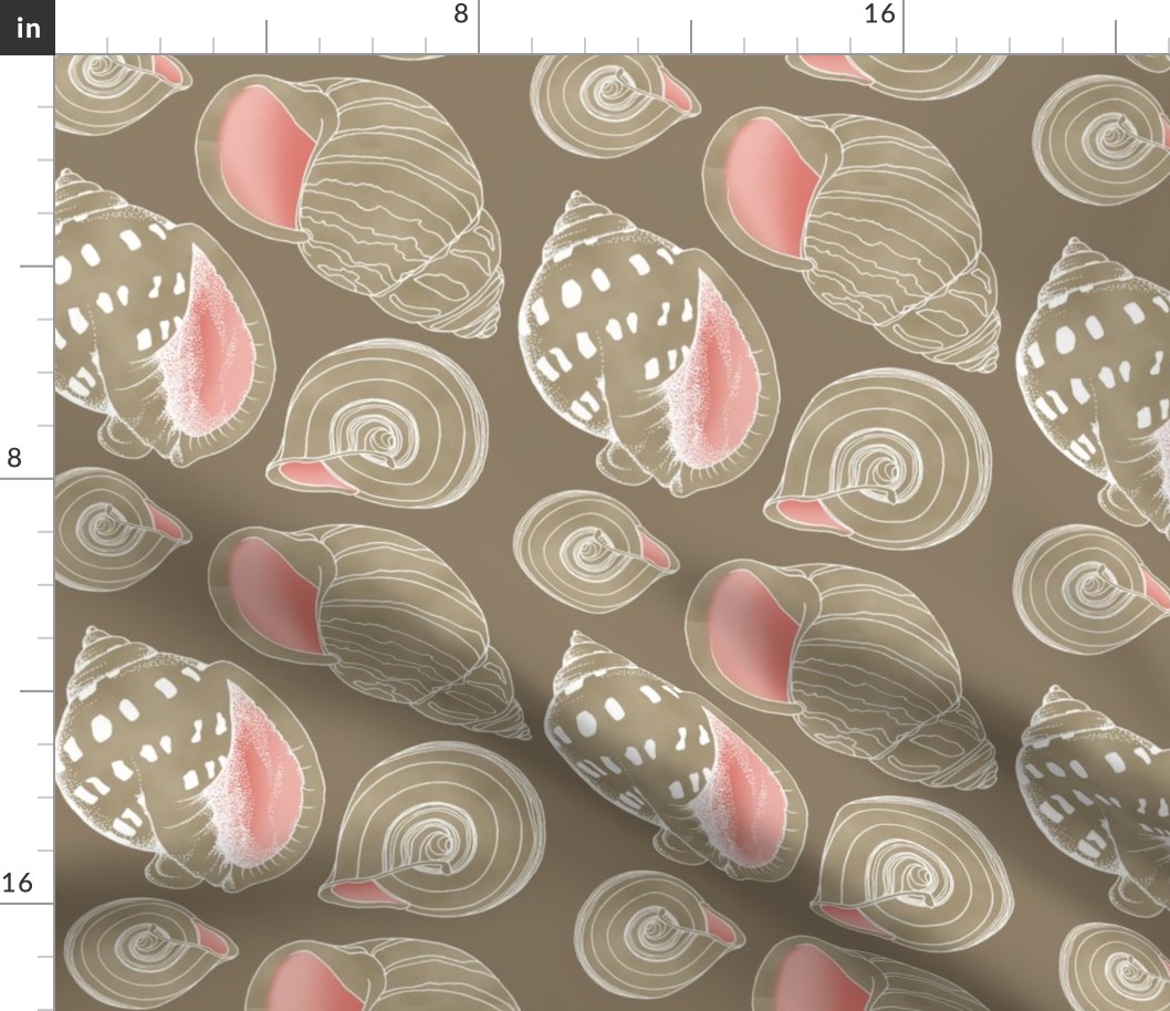 Sketchy Seashells - Blushing Taupe