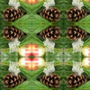 2615259-pine-cone-ornament-snow-by-adreamofmine