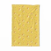 Swiss Cheese texture