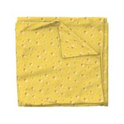 Swiss Cheese texture