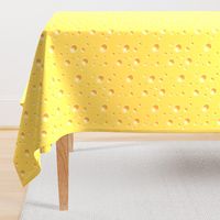 Swiss Cheese texture