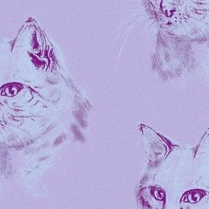 HAND DRAW CAT with black pencil on Mauve background