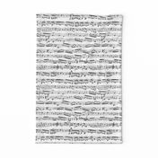 Black and white Music Notes