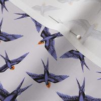 Swooping Swallow in Lavender Haze // small