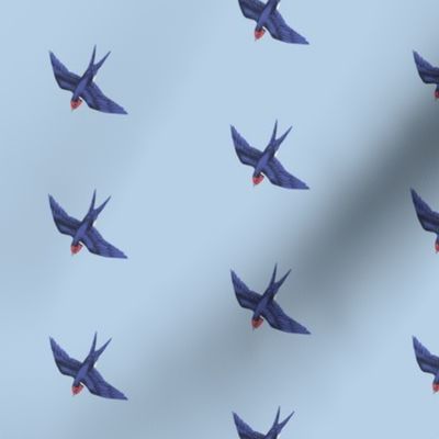 Swift Swallow Blue