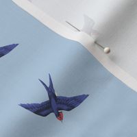 Swift Swallow Blue