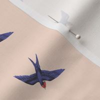 Swift Swallow Pink