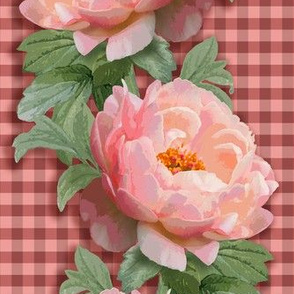 Coral Peony Columns, gingham