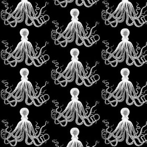 Black Vintage Kraken Octopus pattern (small)