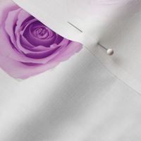 18" Scarf Violets and Roses Shell Background