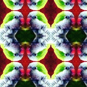 Parrot portraits