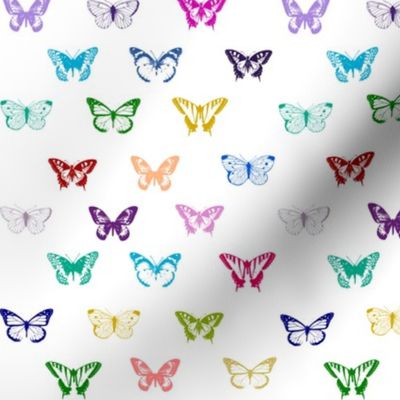 Colorful Butterfly pattern