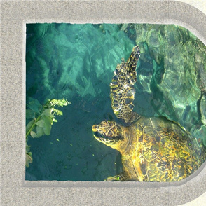 Green Turtle