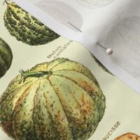 Vintage Vegetable Pattern - Deconstructed Veg Garden