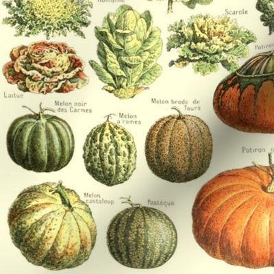 Vintage Vegetable Pattern - Deconstructed Veg Garden