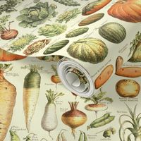 Vintage Vegetable Pattern - Deconstructed Veg Garden