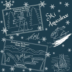 ski_contest_toile-palette