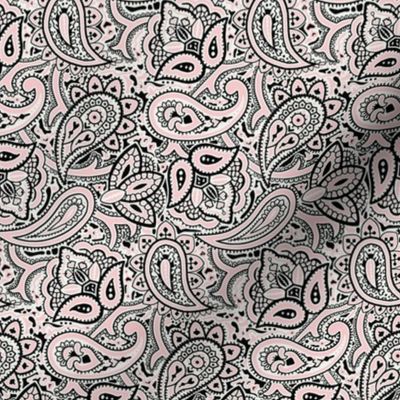 Persnickety Paisley ~ Dauphine, Blackmail And White