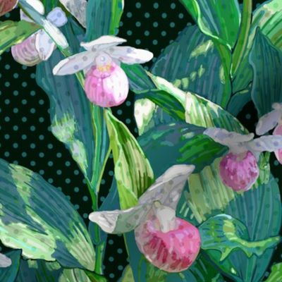 Showy Lady Slipper Teal Leaves