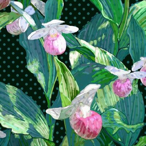 Showy Lady Slipper Teal Leaves