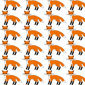 foxes