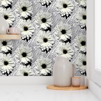 Near Black and White Daisies