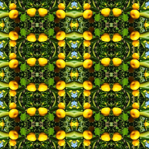 Citrus grid