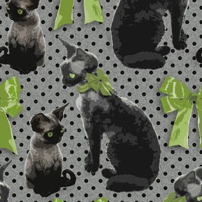 Devon Rex - Green Ribbons and Bows