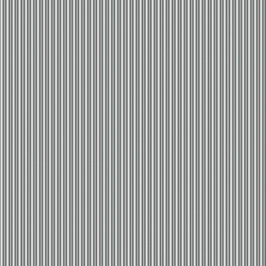 gray stripe 