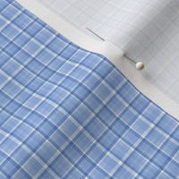 Spring Plaid - blue