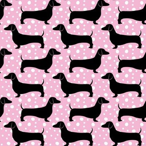 Dotted Doxies (Baby Pink)